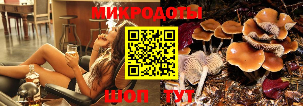 Томск  Галлюциногенные грибы Psilocybe  Вход с VPN 